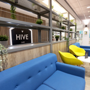 Hive Cafe Blyth in Northumberland