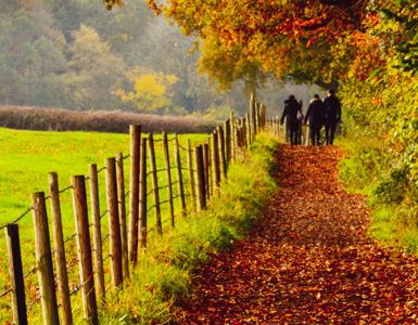 Free Health And Wellbeing Walks in Northumberland 1