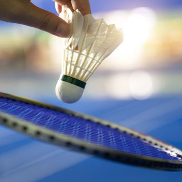 Badmintonsportscourts5