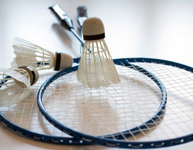 Badmintonsportscourts1