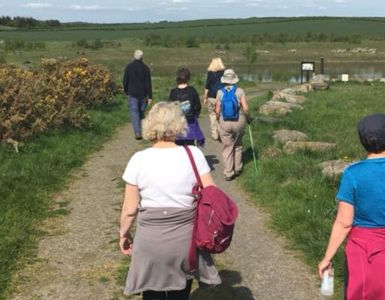 Free Health And Wellbeing Walks in Northumberland 5
